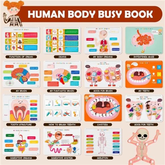 Freebear Montessori Busy Book for Kids, Human Body Anatomy Book for Toddlers, - Picture 2 of 7